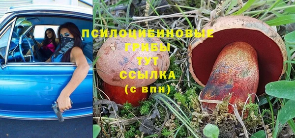 МДПВ Дмитров