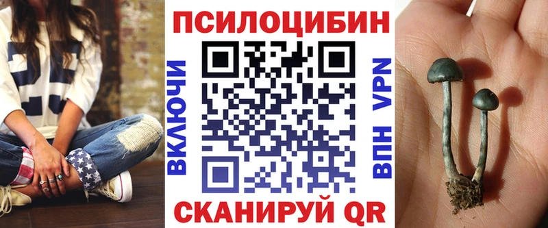 Псилоцибиновые грибы мицелий  как найти наркотики  Нефтеюганск 