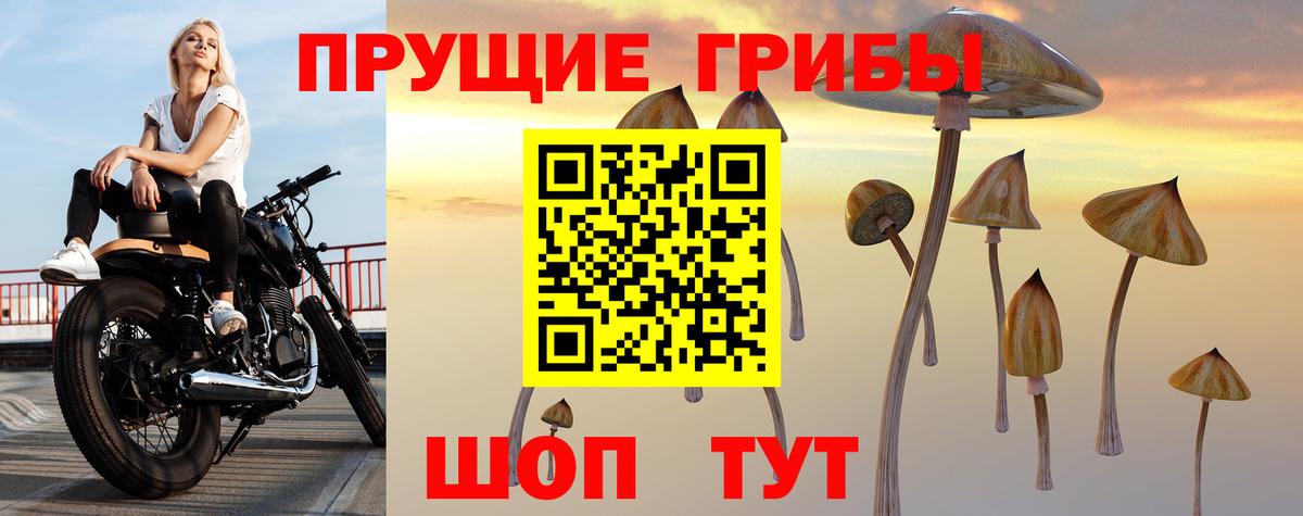 купить  сайты  Псилоцибиновые грибы Psilocybine cubensis  Вход с VPN  Псилоцибиновые грибы прущие грибы  Нефтеюганск 