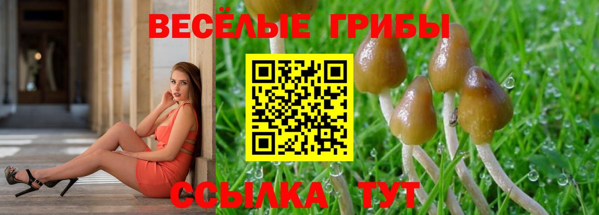 Нефтеюганск  Галлюциногенные грибы мухоморы  Вход с VPN 